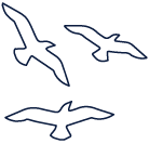 A drawing of a flock of birds