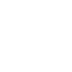 The Princeton Review Best 384 Colleges - 2019