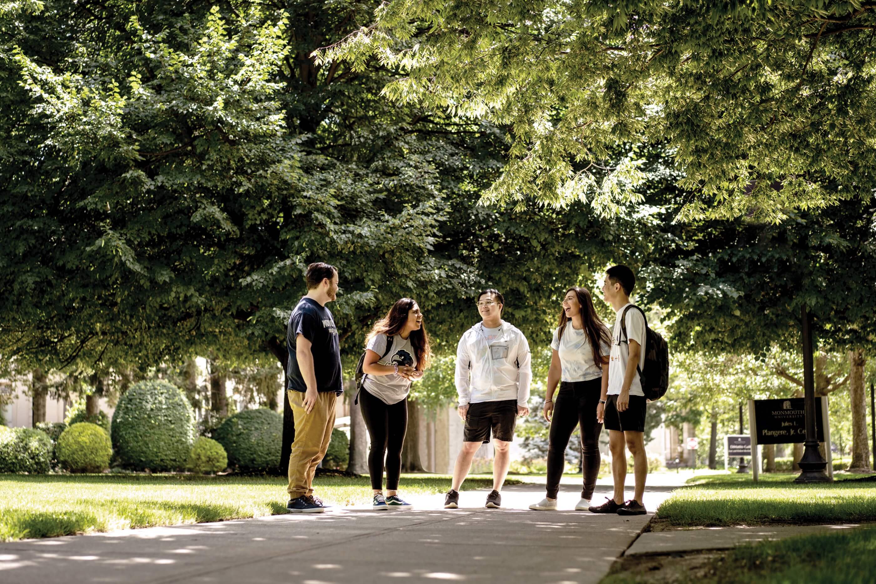A group of five students talking while standing on a sunlit path under vibrant green trees