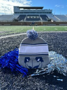 A winter snow cap featuring the visage of shadow the hawk on the fold. 