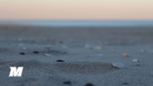 sand on a beach