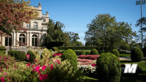 A view of the Great Hall from Erlanger Gardens