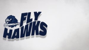 The slogan Fly Hawks on a white background