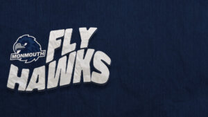 The slogan Fly Hawks on a blue background