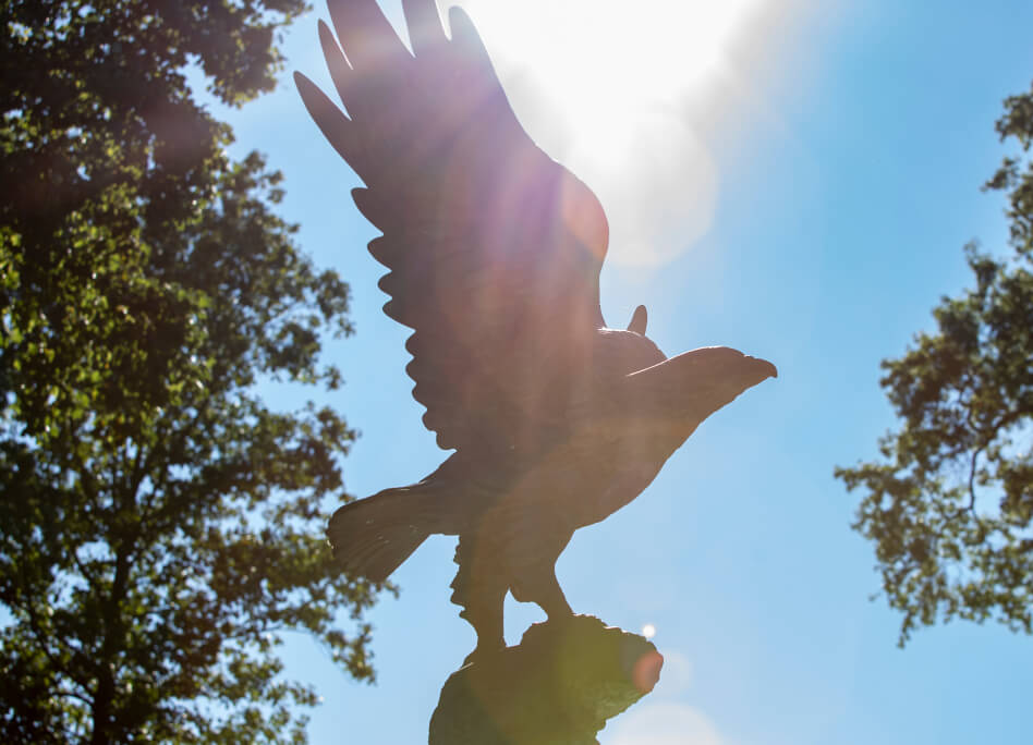 A hawk statue with blue sky and the sun behind it
