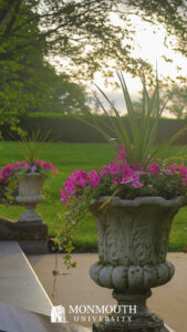 Ornate planters with red and purple flowers in bloom.
