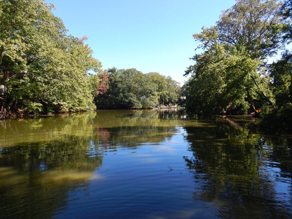 A lake with trees around it