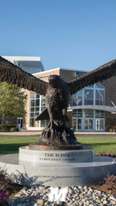 MU Desktop or Mobile Wallpapers: The Hawk Sculpture at Brockriede Common