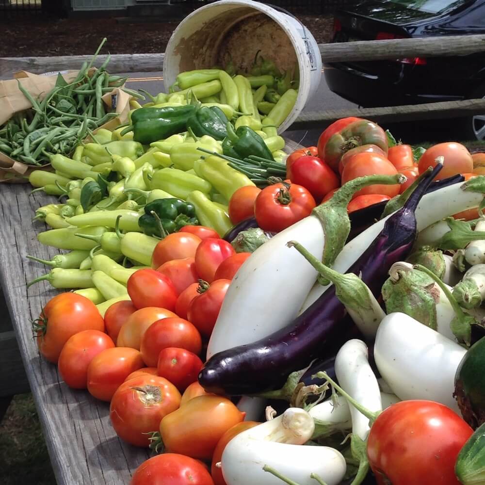 A table with green beans, peppers, tomatoes, and eggplants overflowing on it