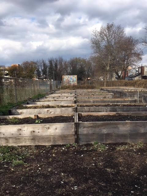 Rows of garden beds