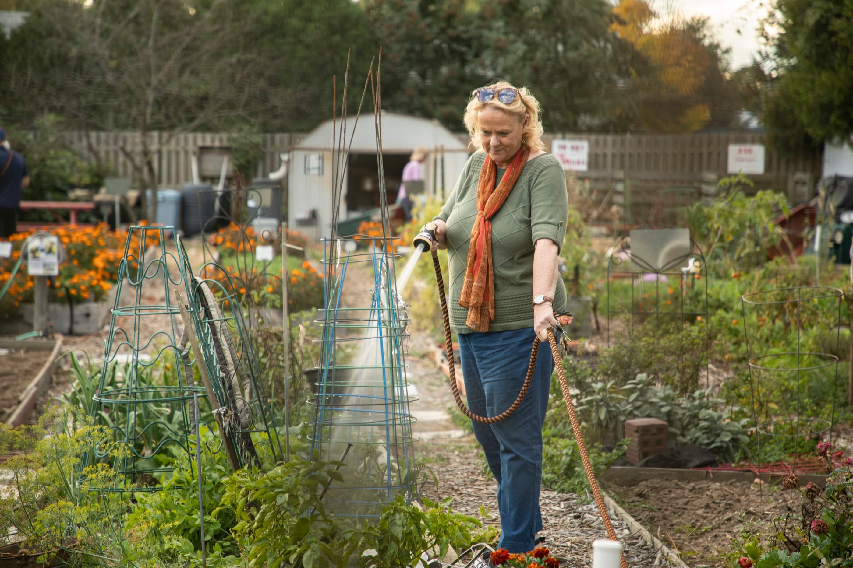 A woman watering a garden