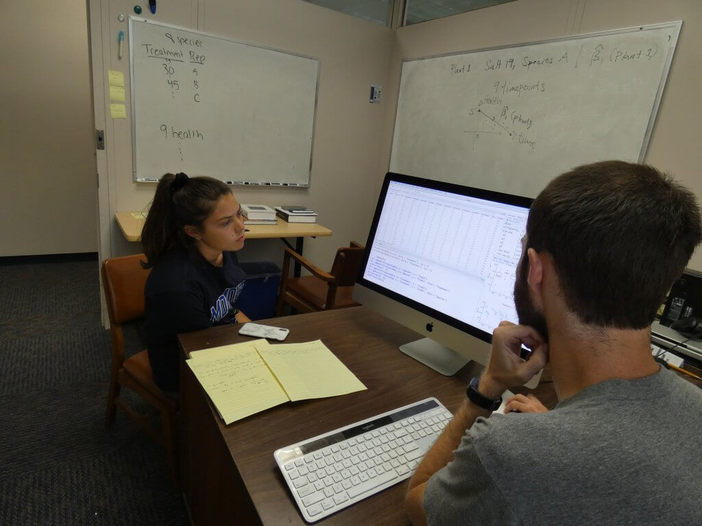 Photo shows Samantha Cavalli refining her analyses with Dr. David Darmon, Mathematics Department