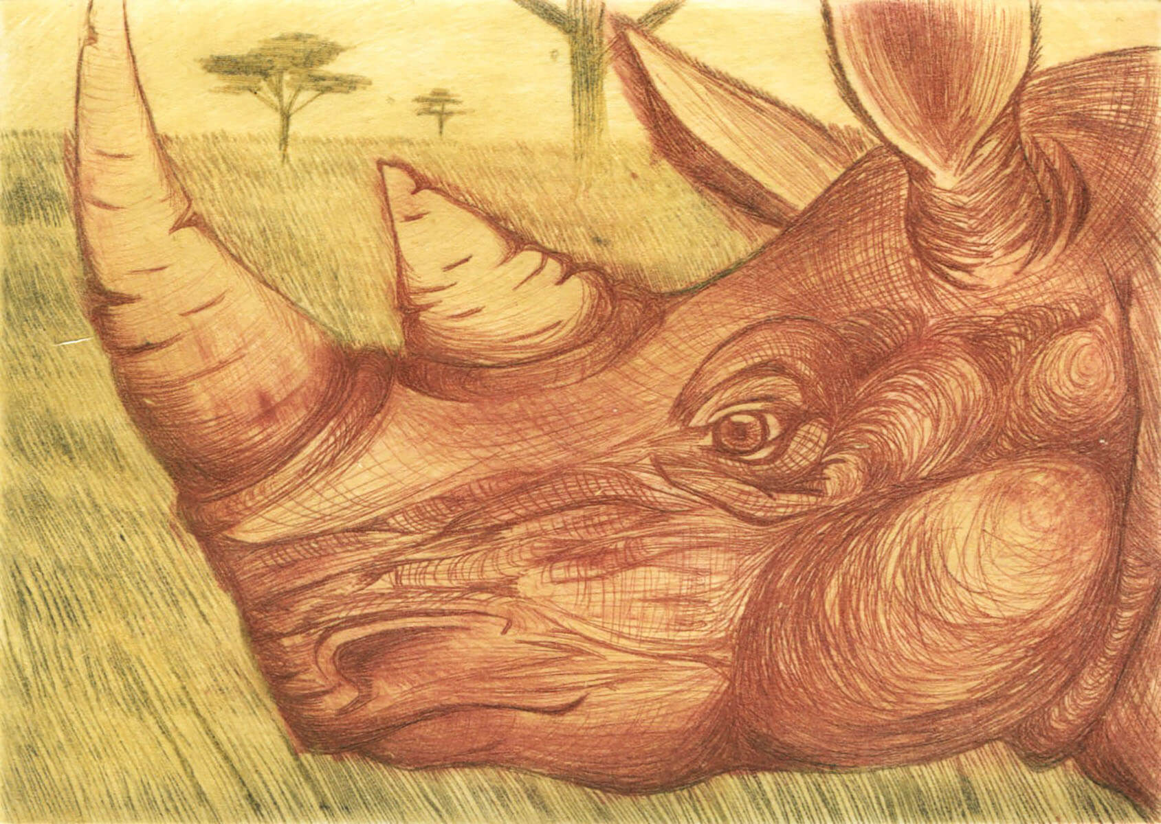 CLick to view Student: Jennifer Shelley-Course: Print Intaglio Relief
