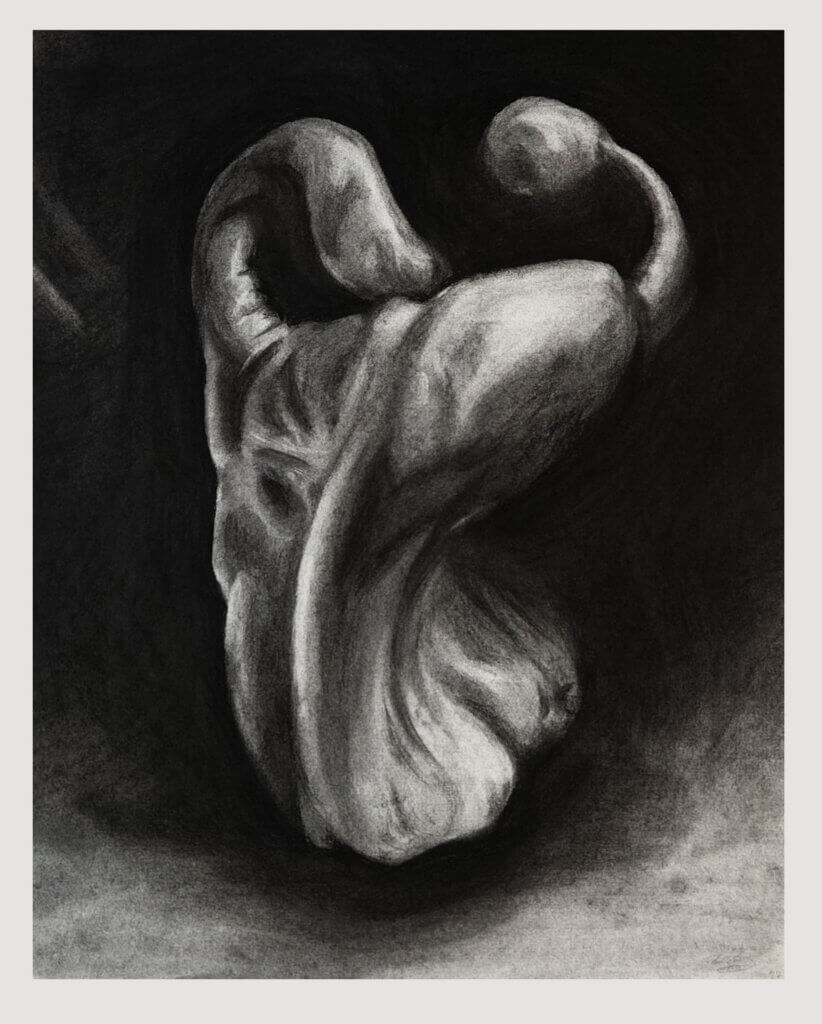 Black-and-white drawing of an organic abstract form with smooth, curled shapes emerging from a dark background.