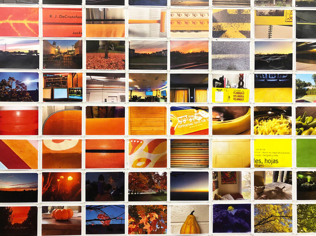 Large grid of small color photographs arranged in a rectangular mosaic, showing close-up details and scenes dominated by warm hues.