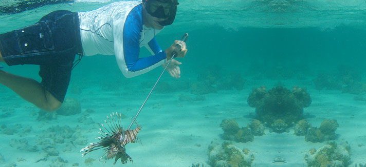 Student studying ecology underwater