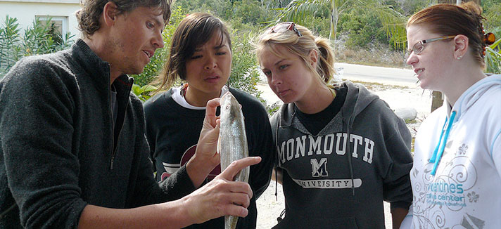Students examining another fish