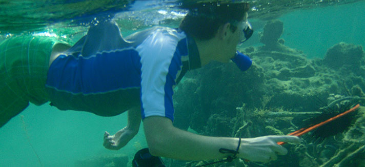 Student swimming underwater