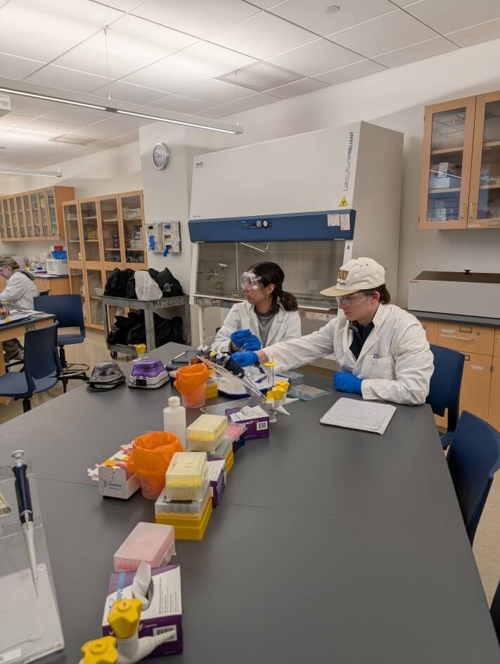 Students working with chemicals at a table in a lab