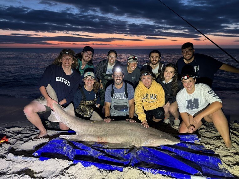 Group of students with their professor posing with a sand tiger shark