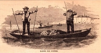 Illustration of two men on a boat raking for oysters