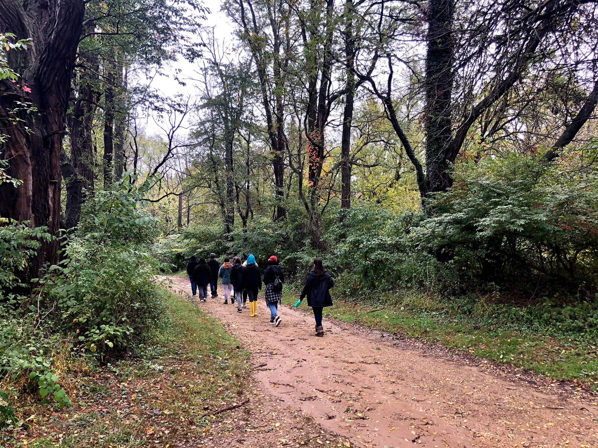 Group of Ecotherapy Students Hike on a Trail