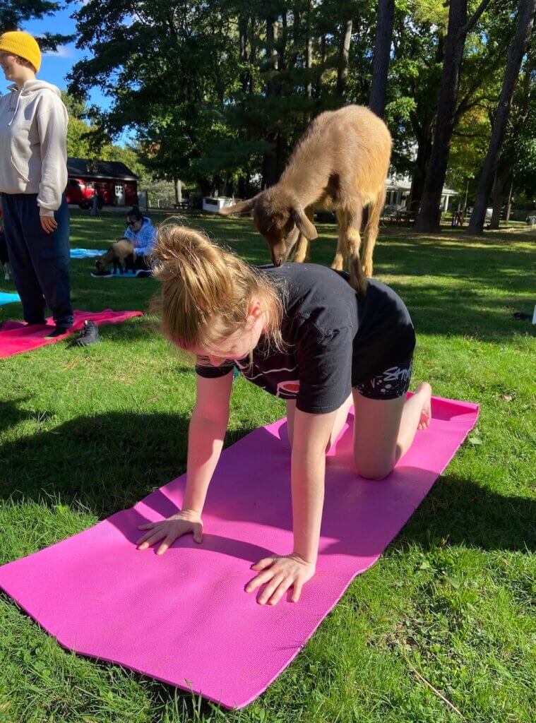Woman kneeling on a yoga mat with a goat on her back
