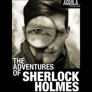 The Adventures of Sherlock Homes