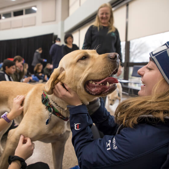 Monmouth student petting a therapy dog