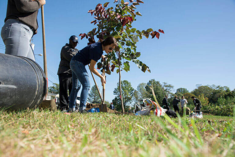 students planting a tree during restoration project