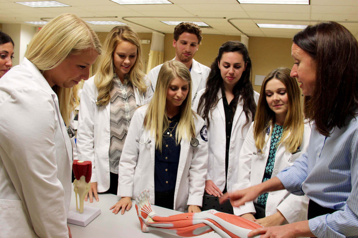 Physician assistant program students get a lesson in leg anatomy