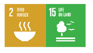 Environment Theme - SDGs 2 and 15