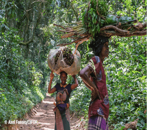 Image of Indigenous People in Forest Ecosystem