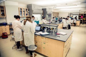 Researchers in one of the labs in the School of Science building