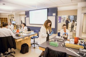 Students working in a lab in the School of Science building