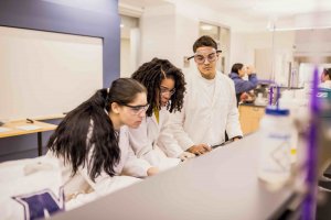 Students working together in a School of Science lab