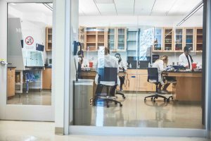 Students in a lab in the School of Science building