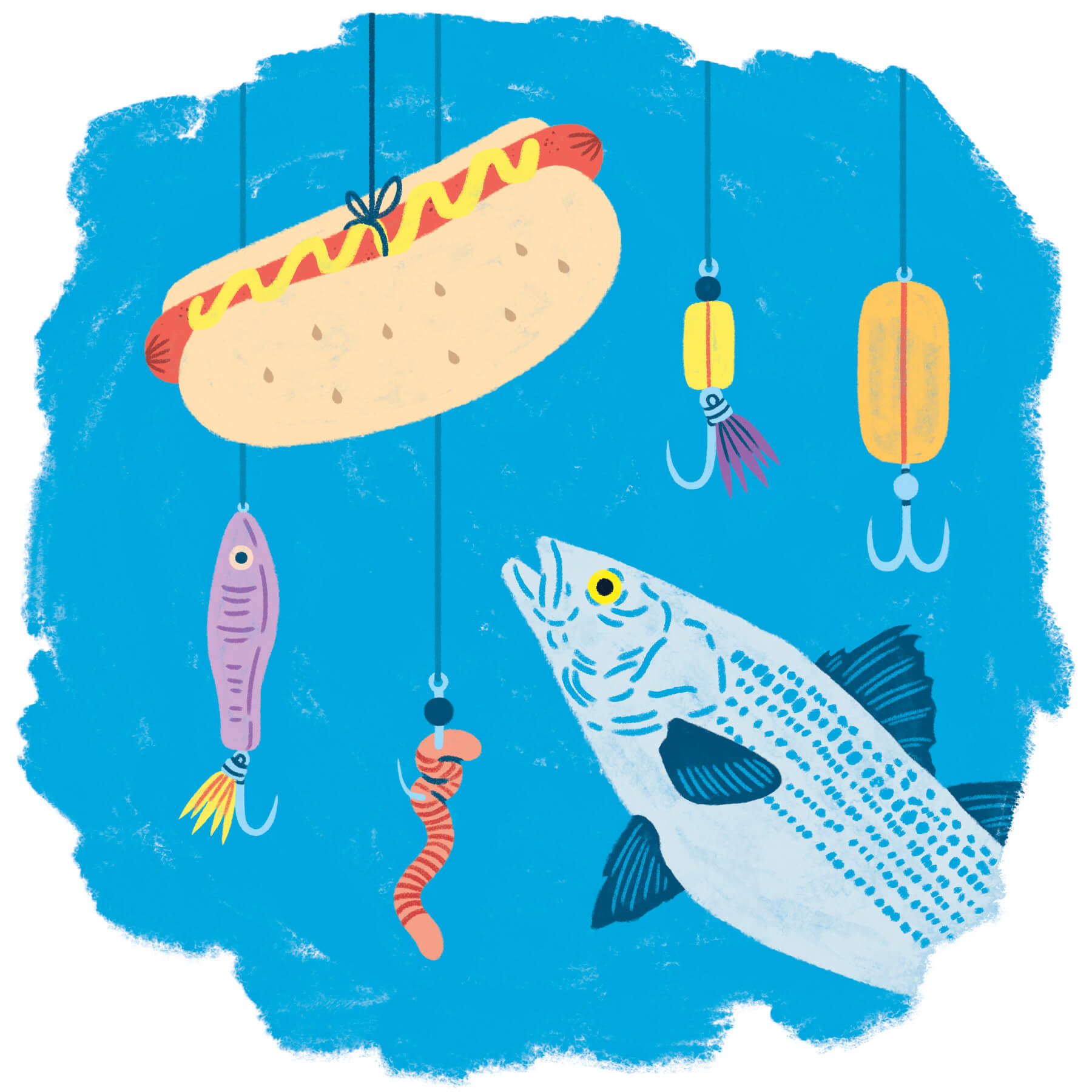 A fish swimming past hooks and baits toward a hot dog on a string