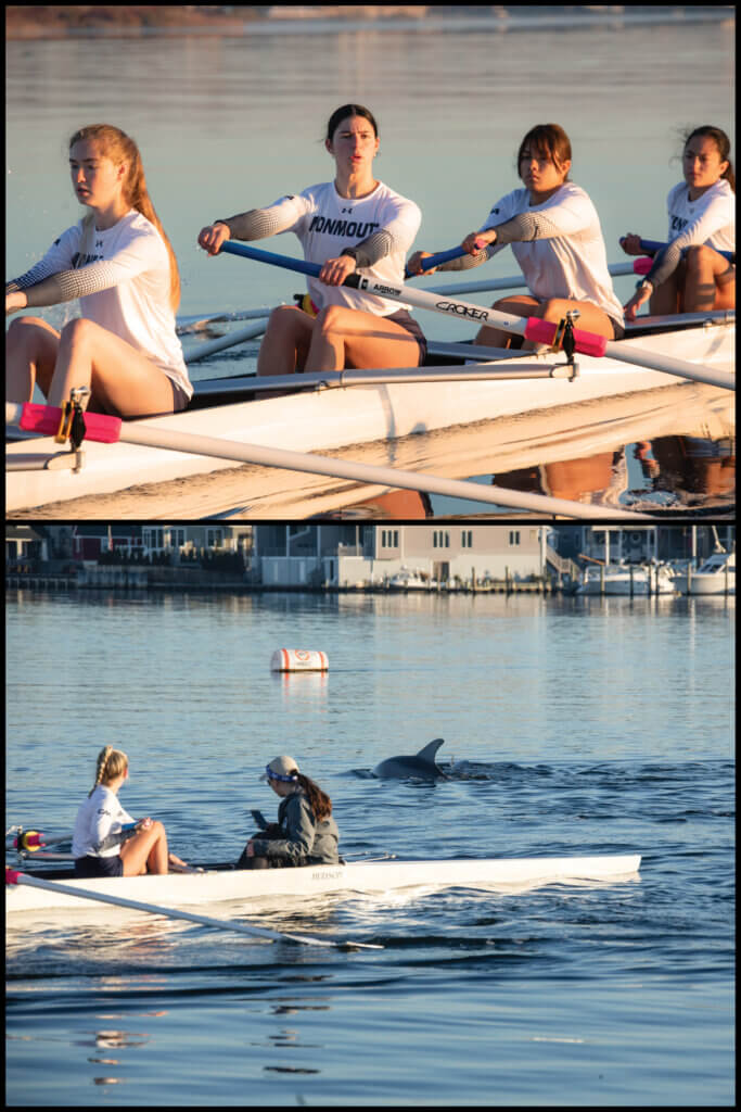 Top photo shows 4 Monmouth rowers in a boat on the water. Bottom photo shows two rowers in boat on water watching a dolphin swim past.