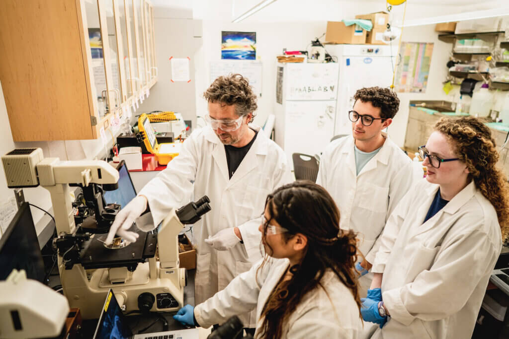 three students and a professor doing scientific research in a lab