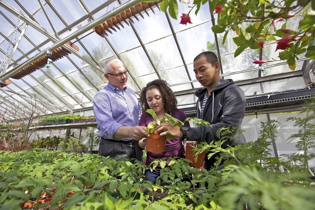 People tending to plants in the Greenhouse