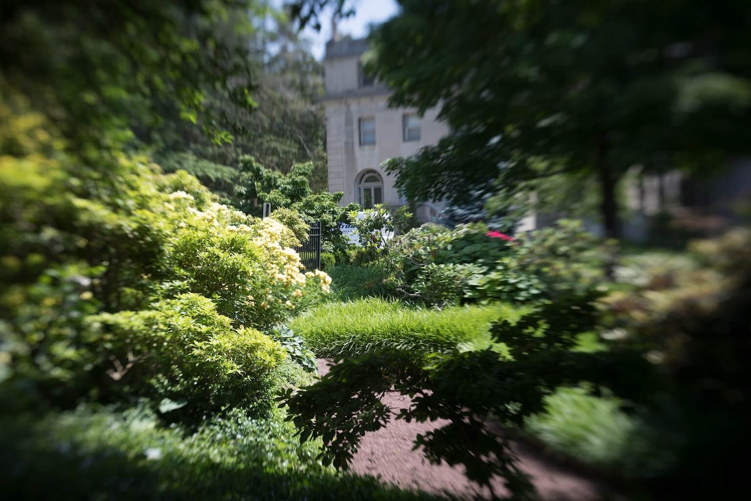 Photo from within the Sculpture Garden