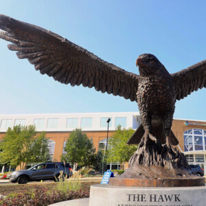 Photo of The Hawk at Brockriede Common, a 15-foot high bronze hawk sculpture