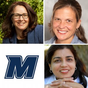Professors Datta, Parkin, and Foster Earn Endowed Chair Appointments