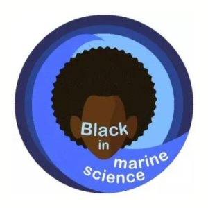 Profiles of members of Black in Marine Science