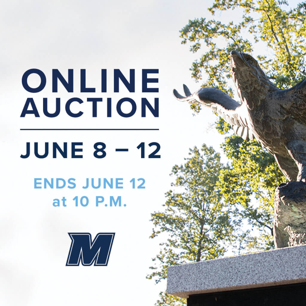 Photo of Hawk statue with trees in background, set next to information about online auction to support Athletic Director's fund