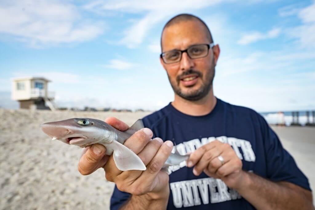 Man standing on beach holding a juvenile shark in foreground