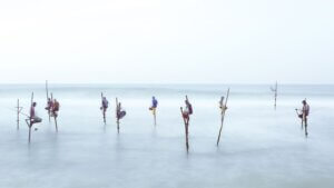 Fishermen on stilts in Sri Lanka