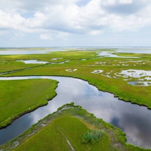 Aerial view of Salt Marshes
