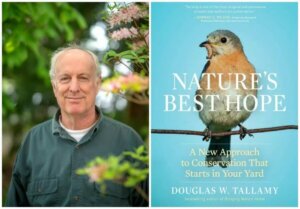 Composite photo of author Doug Tallamy and the cover of his book, Nature's Best Hope"